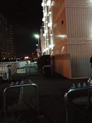 町田のたちんぼエリア